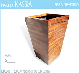 KASSIA